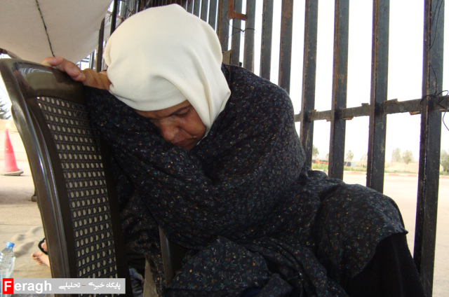 انجمن نجات استان اردبیل به مادران، قربانیان فراموش شده،تقدیم می کند: بهار آمد، پرستوی مادر نیامد