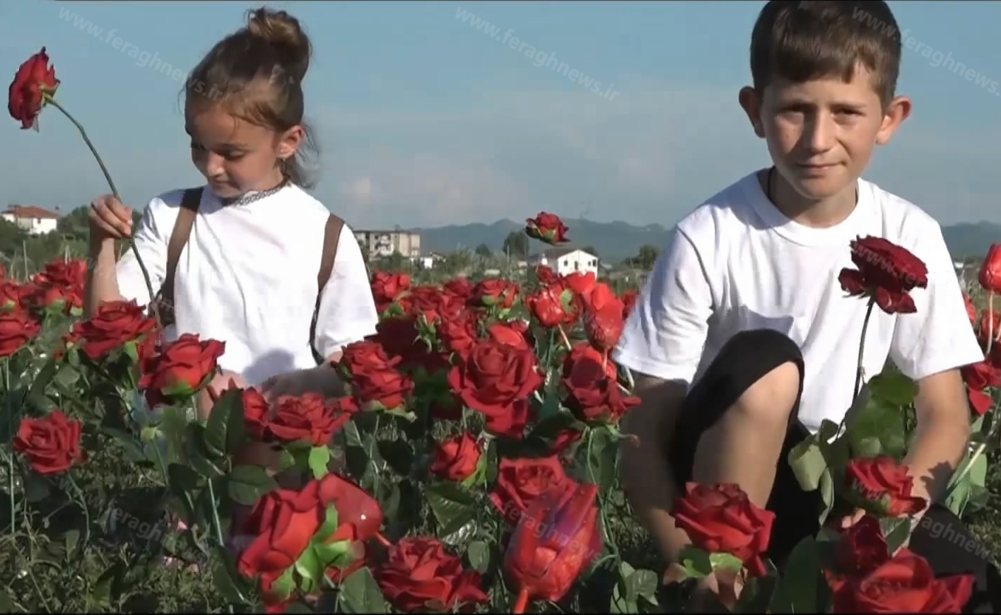 فرقه رجوی در آلبانی کودکان را به بهانه اجرای برنامه فریب می دهد