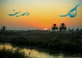 دلتنگیهای مادر «واحد سیف» در فراق فرزندش: شب و روز بیقراری همه عمر بی وفایی دلتنگیهای مادر «واحد سیف» در فراق فرزندش: شب و روز بیقراری همه عمر بی وفایی