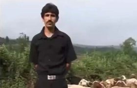 افشای وحشی‌گری‌های «مجاهدین خلق» در دوران جنگ تحمیلی