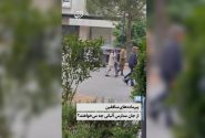 پیرماده‌های منافقین از جان مدارس آلبانی چه می‌خواهند؟
